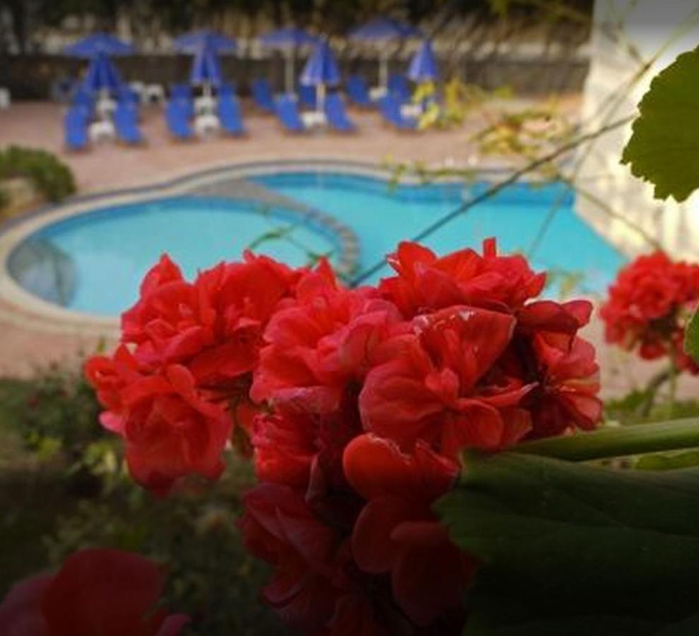 Lili Apartments,oasis 2,5 Km From Hania Center Apartment