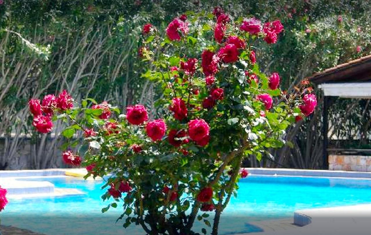 Lili Apartments,oasis 2,5 Km From Hania Center Apartment